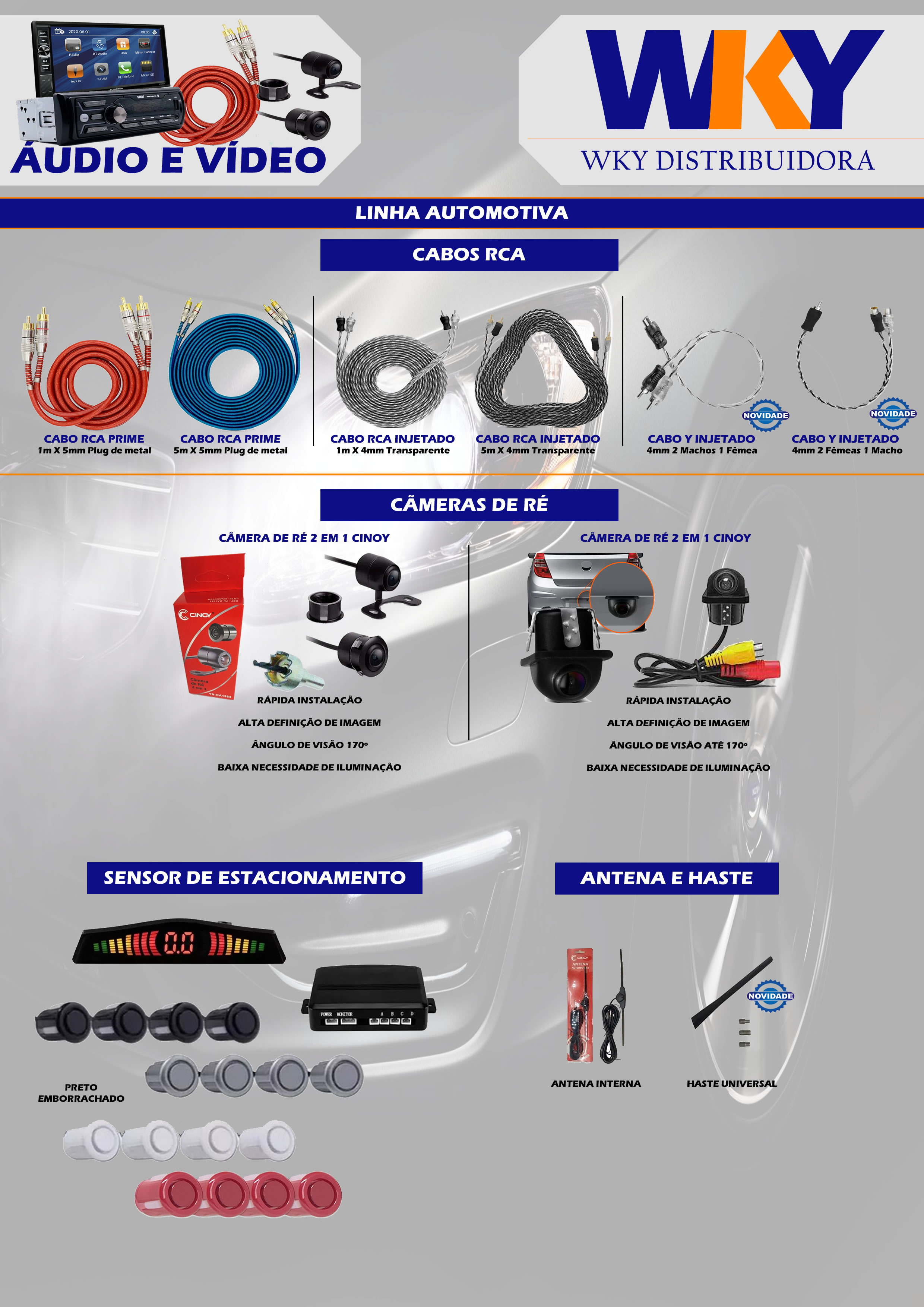 PAG 19 AUDIO E VIDEO 2.jpg